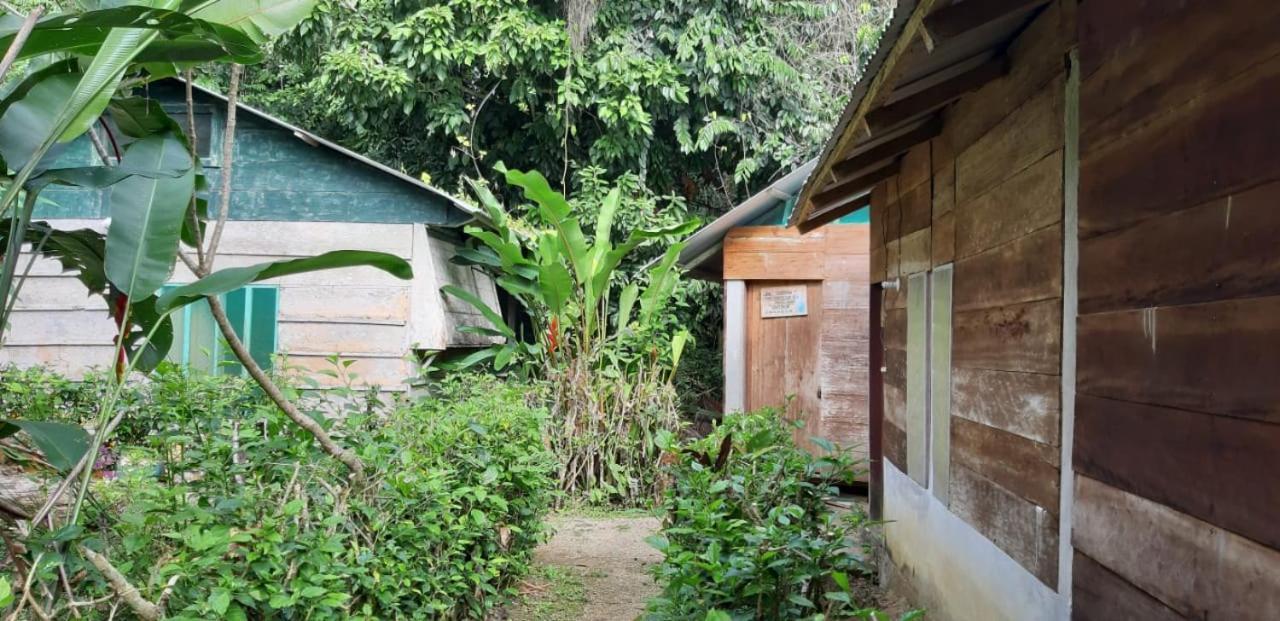 מלון Lacanjá Centro Ecoturistico Ya'Ajche מראה חיצוני תמונה